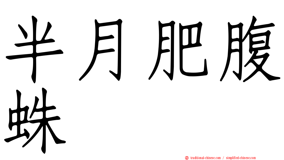 半月肥腹蛛
