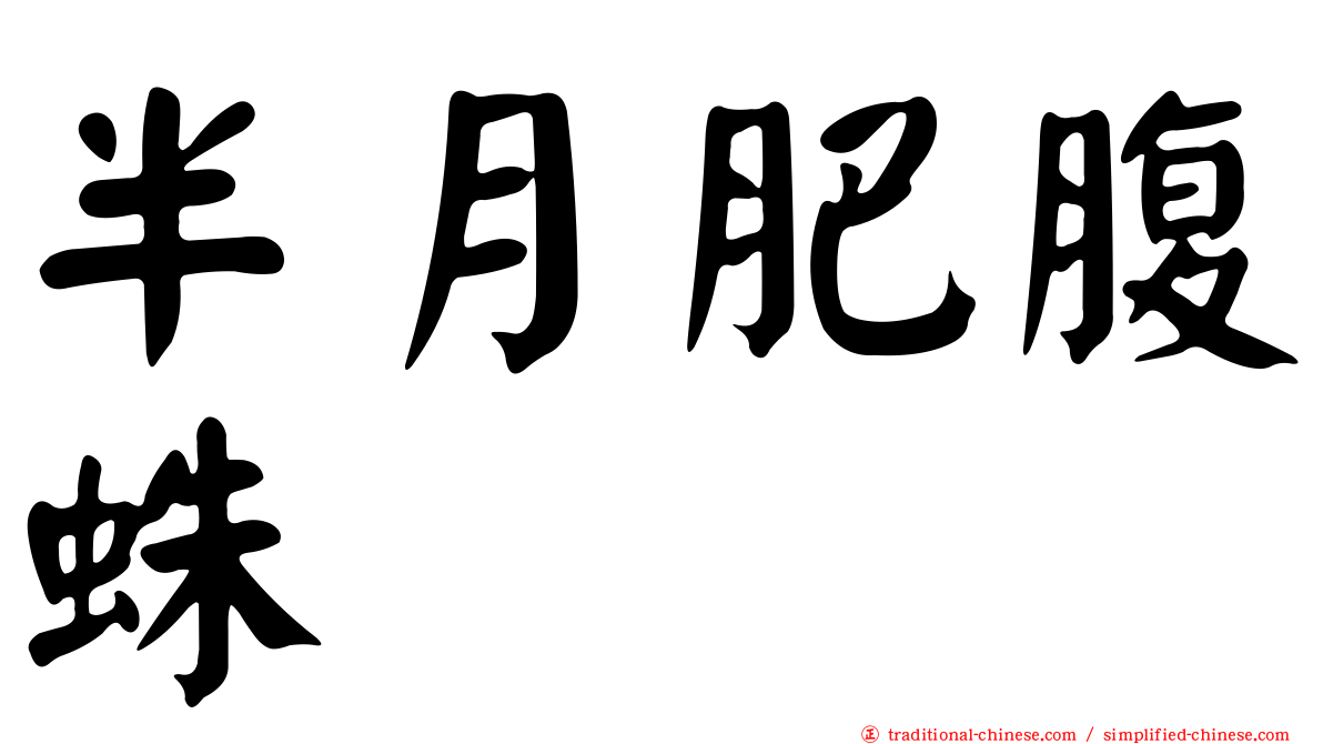 半月肥腹蛛