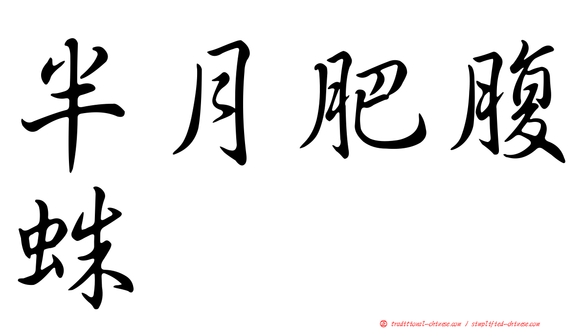 半月肥腹蛛