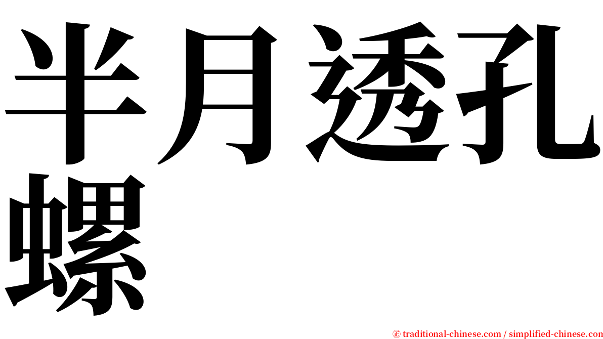 半月透孔螺 serif font