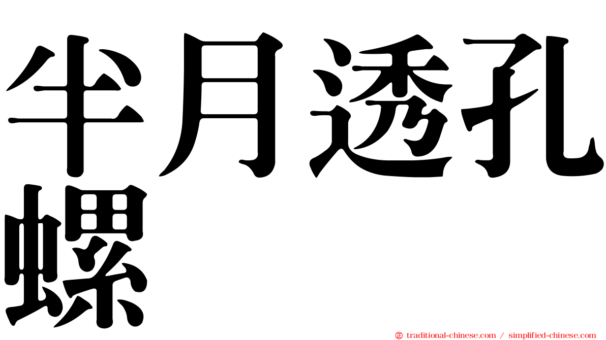 半月透孔螺