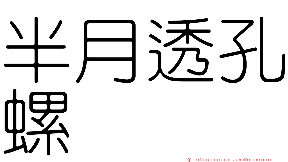 半月透孔螺