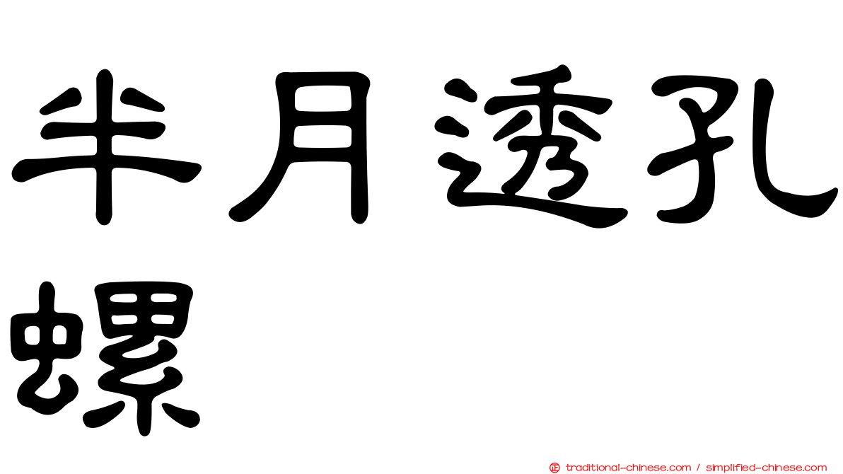 半月透孔螺
