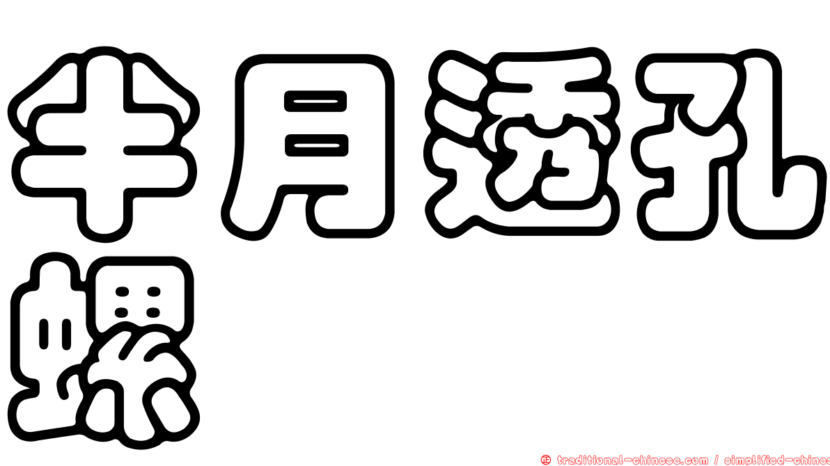 半月透孔螺