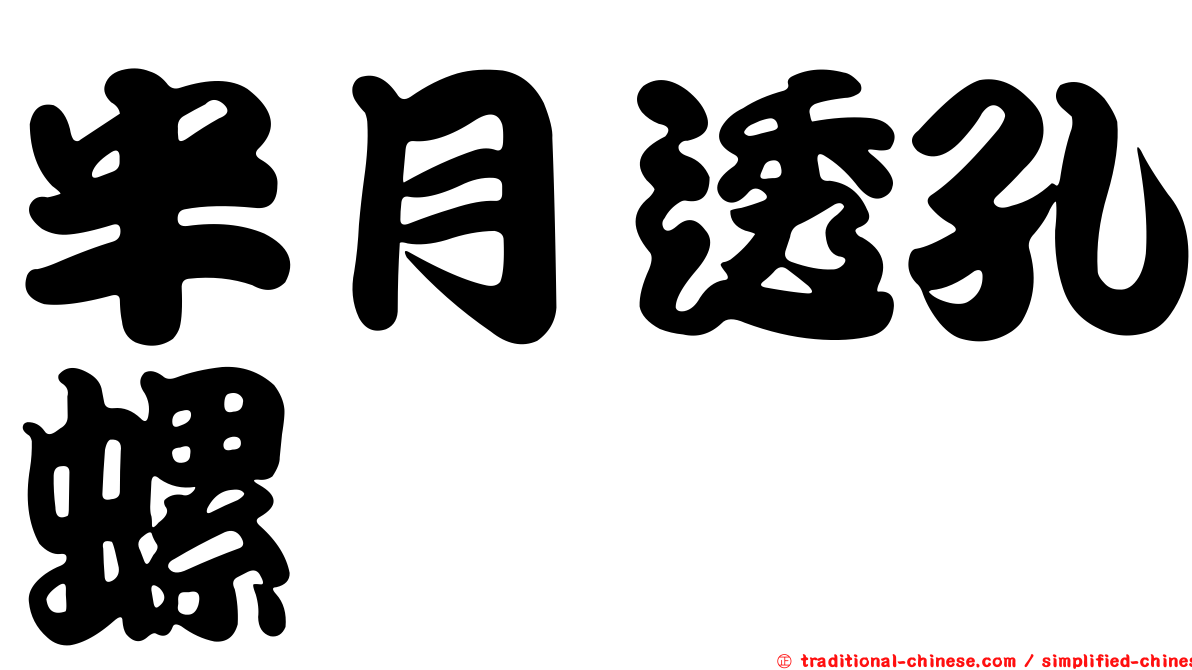 半月透孔螺