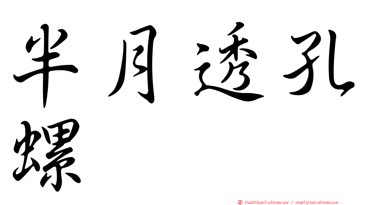 半月透孔螺
