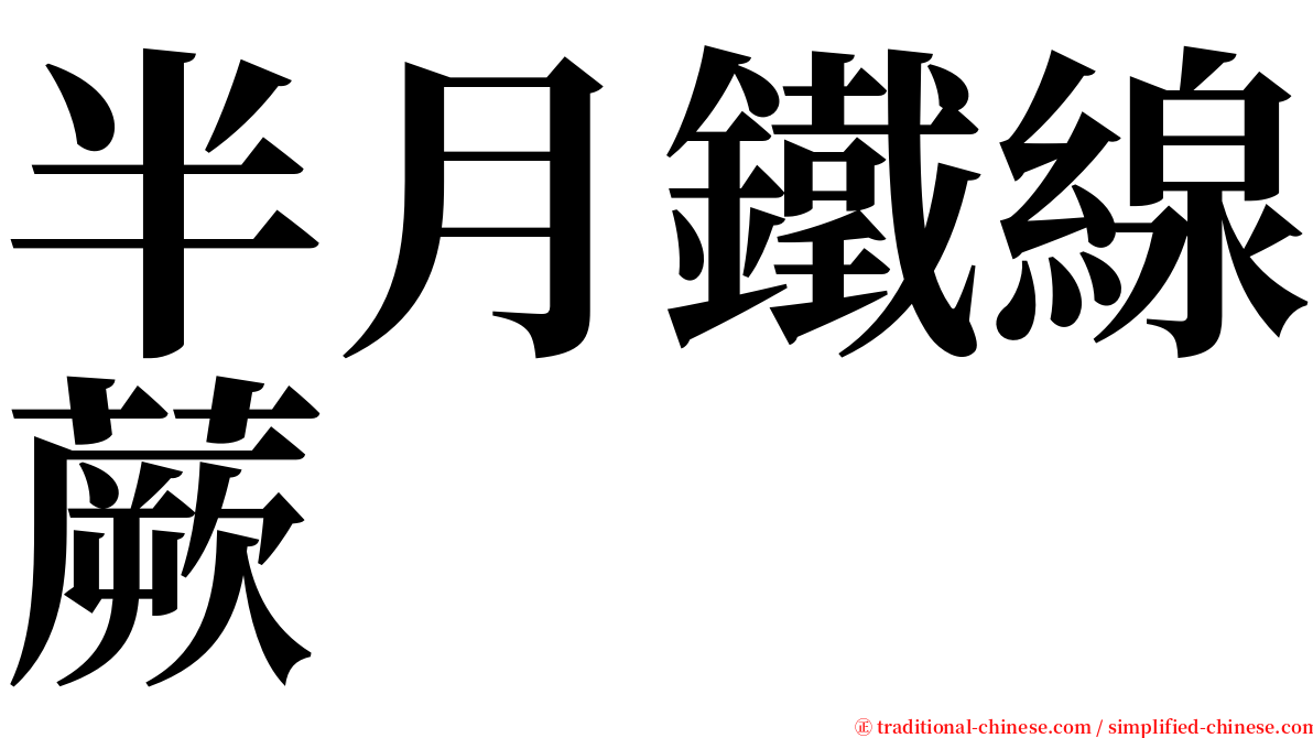 半月鐵線蕨 serif font