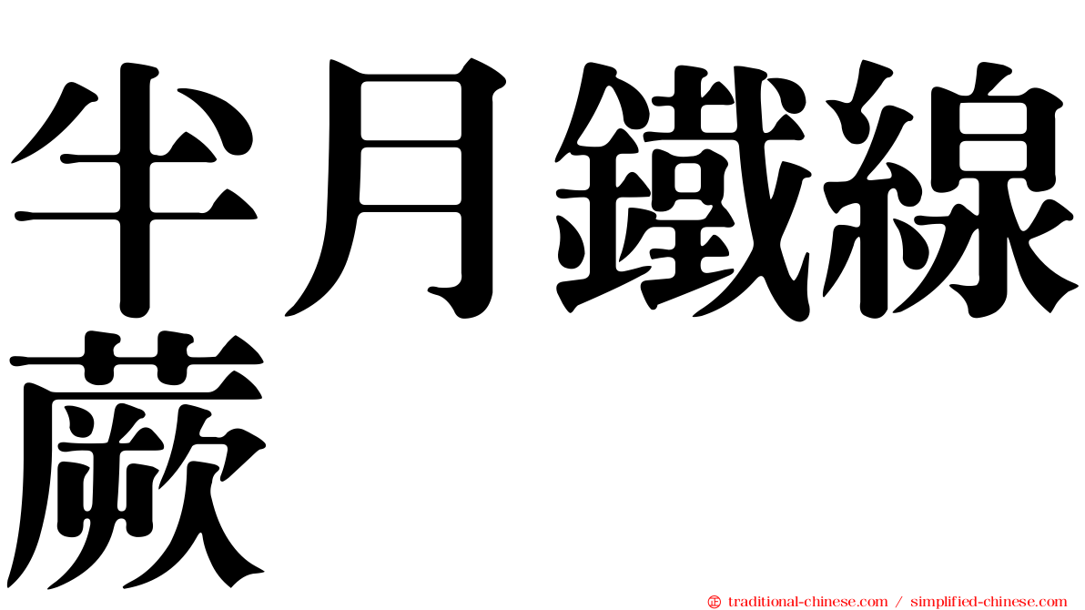 半月鐵線蕨