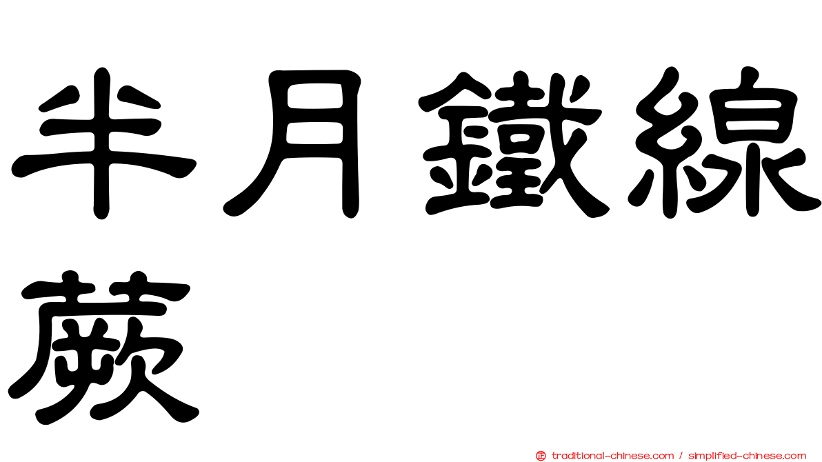 半月鐵線蕨