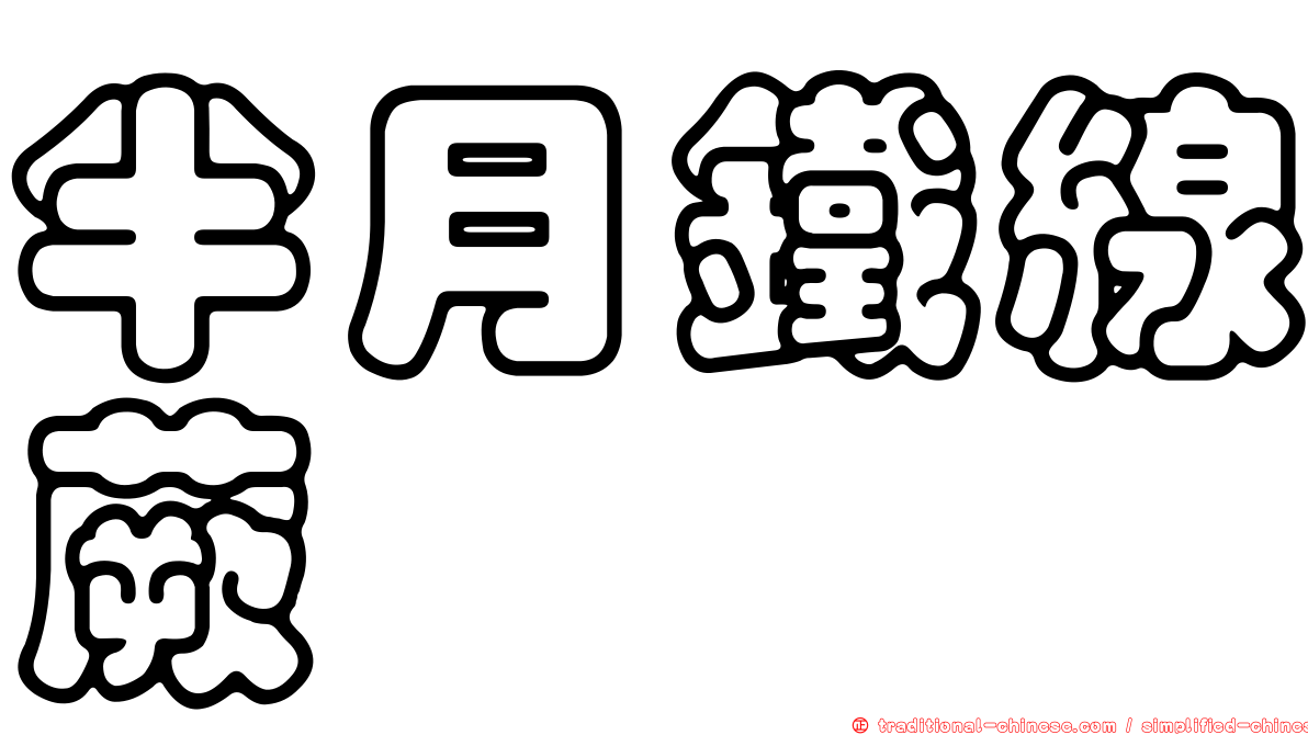 半月鐵線蕨