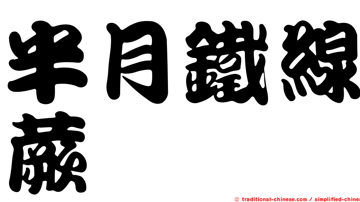 半月鐵線蕨