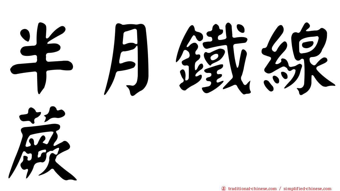 半月鐵線蕨