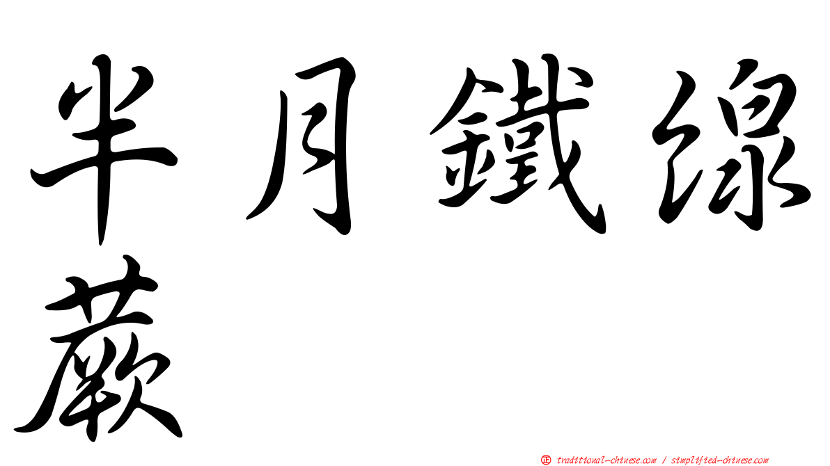 半月鐵線蕨