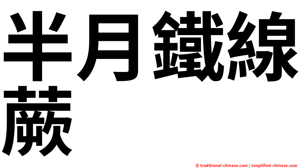 半月鐵線蕨