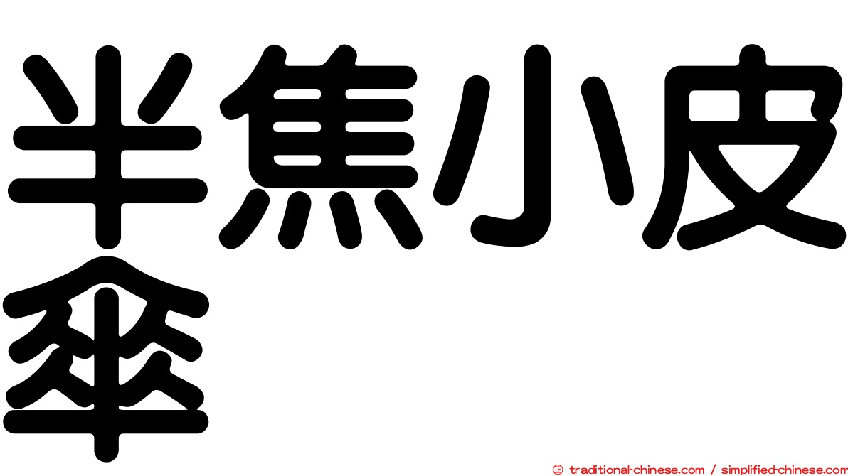 半焦小皮傘