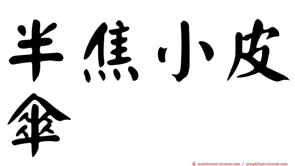 半焦小皮傘