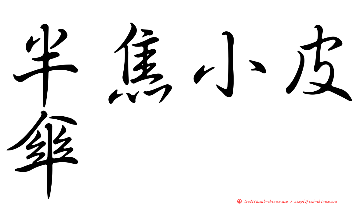 半焦小皮傘