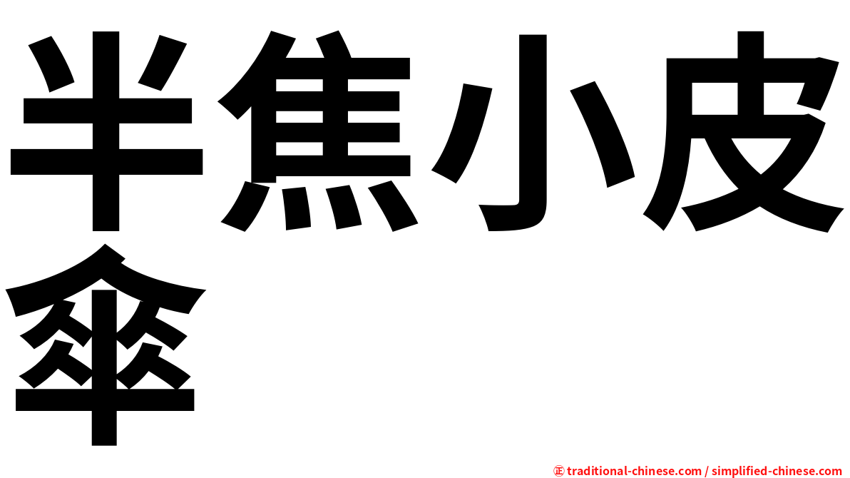 半焦小皮傘