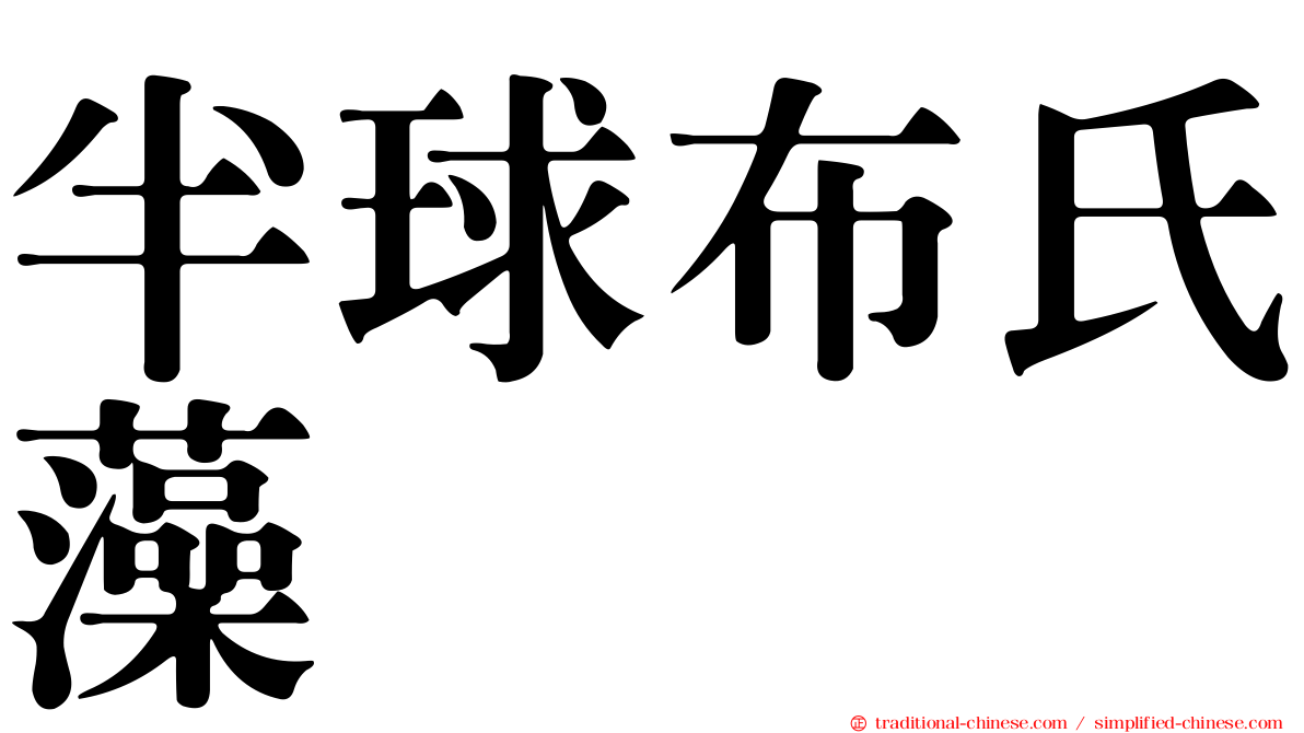 半球布氏藻