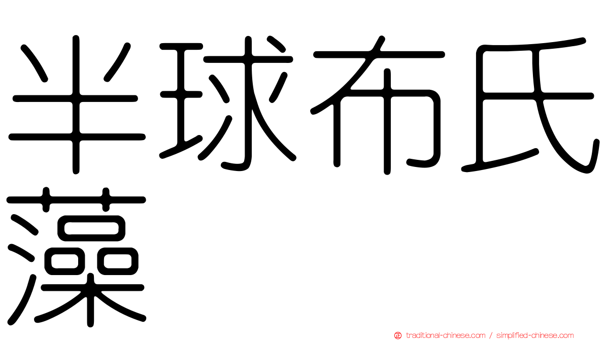 半球布氏藻