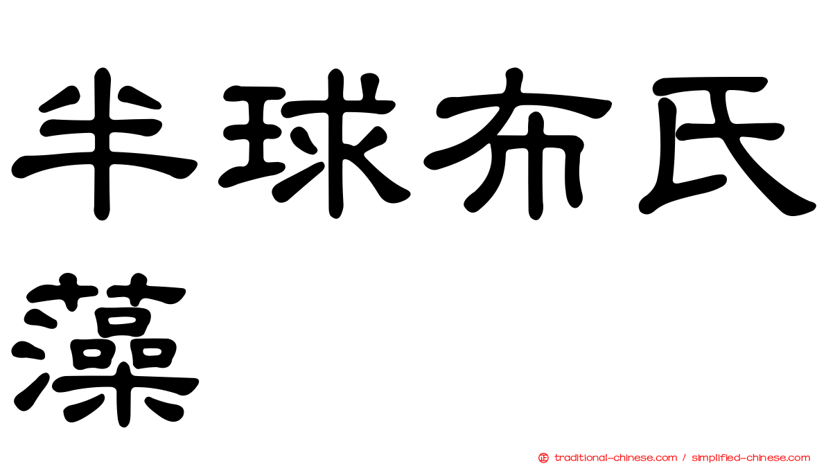 半球布氏藻