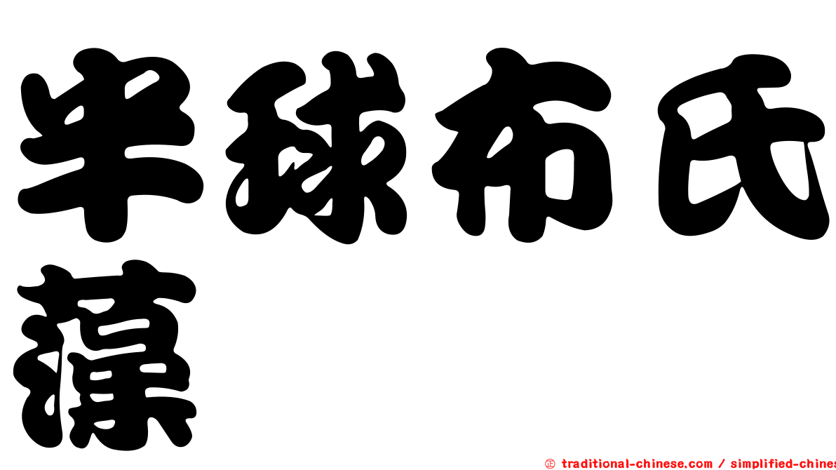 半球布氏藻