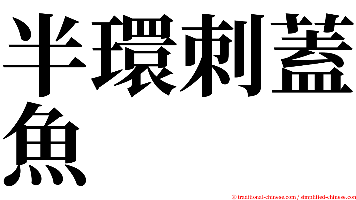 半環刺蓋魚 serif font