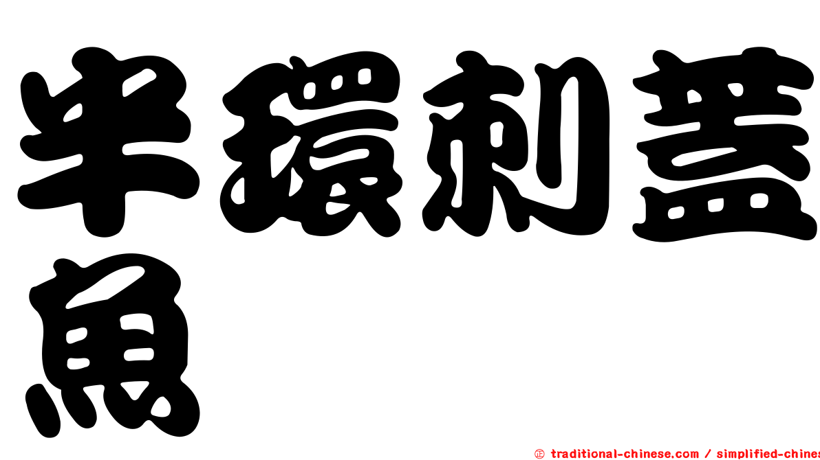 半環刺蓋魚