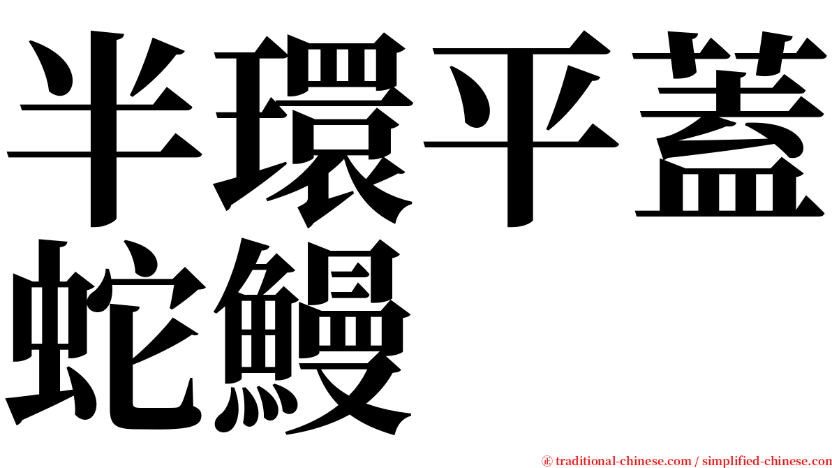 半環平蓋蛇鰻 serif font