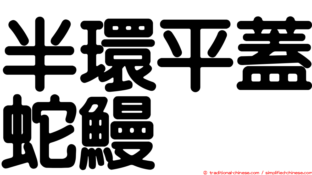 半環平蓋蛇鰻