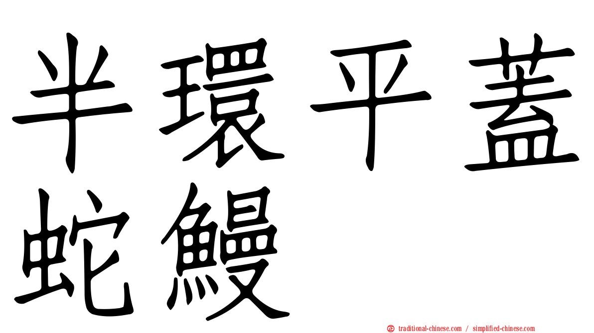 半環平蓋蛇鰻