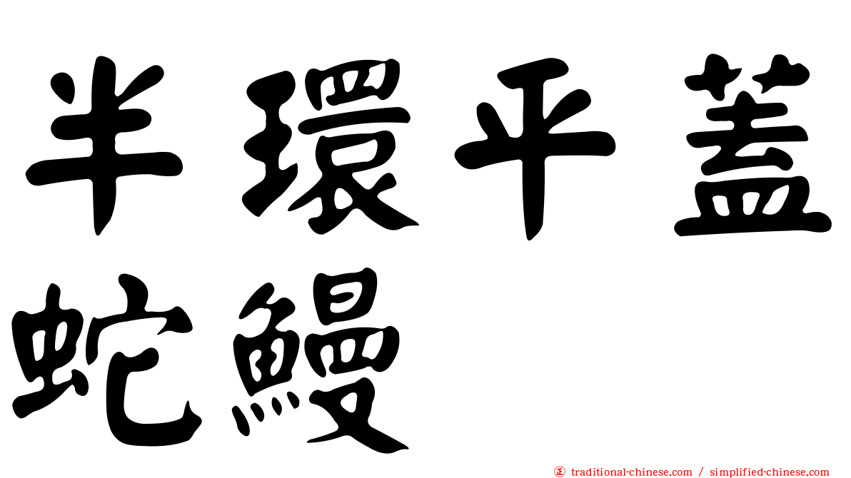 半環平蓋蛇鰻