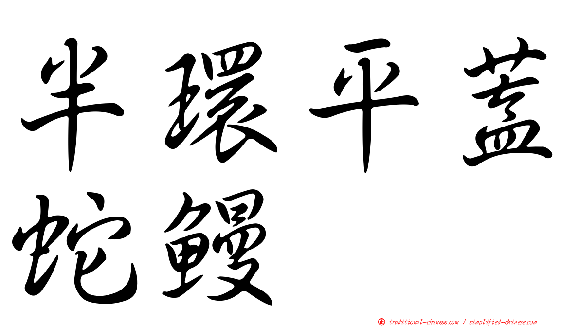 半環平蓋蛇鰻