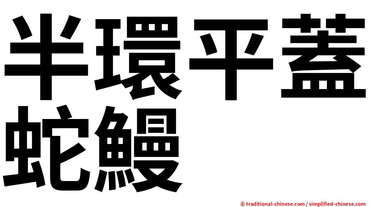 半環平蓋蛇鰻