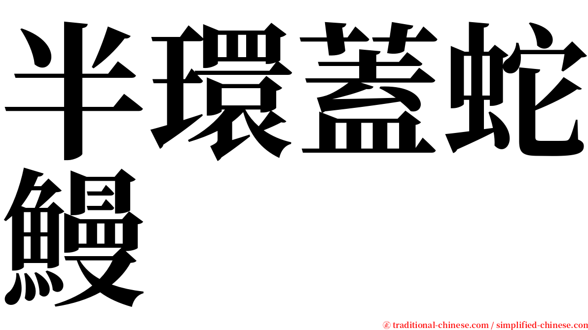 半環蓋蛇鰻 serif font