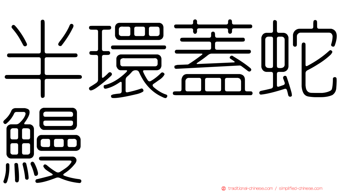 半環蓋蛇鰻