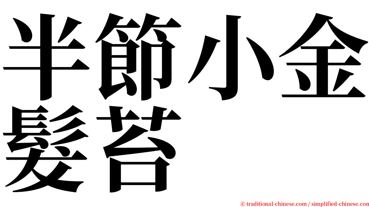 半節小金髮苔 serif font