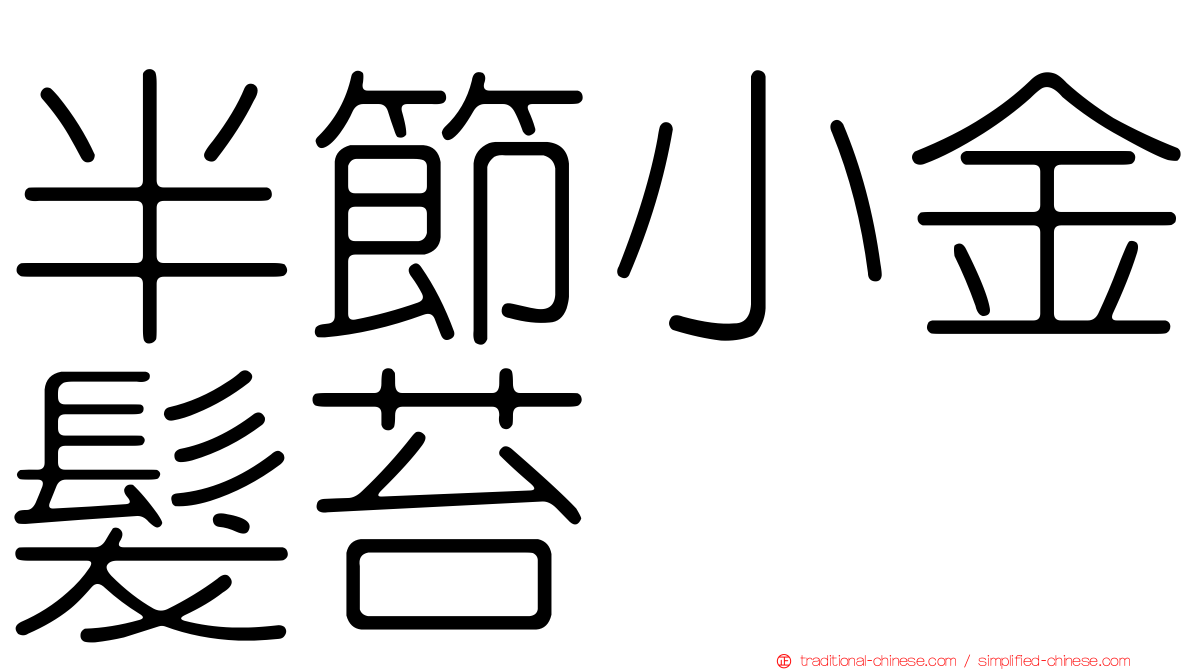 半節小金髮苔