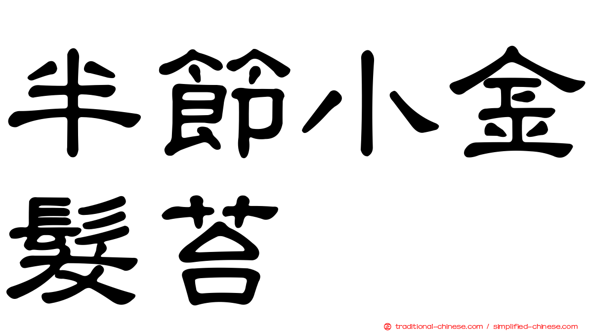 半節小金髮苔