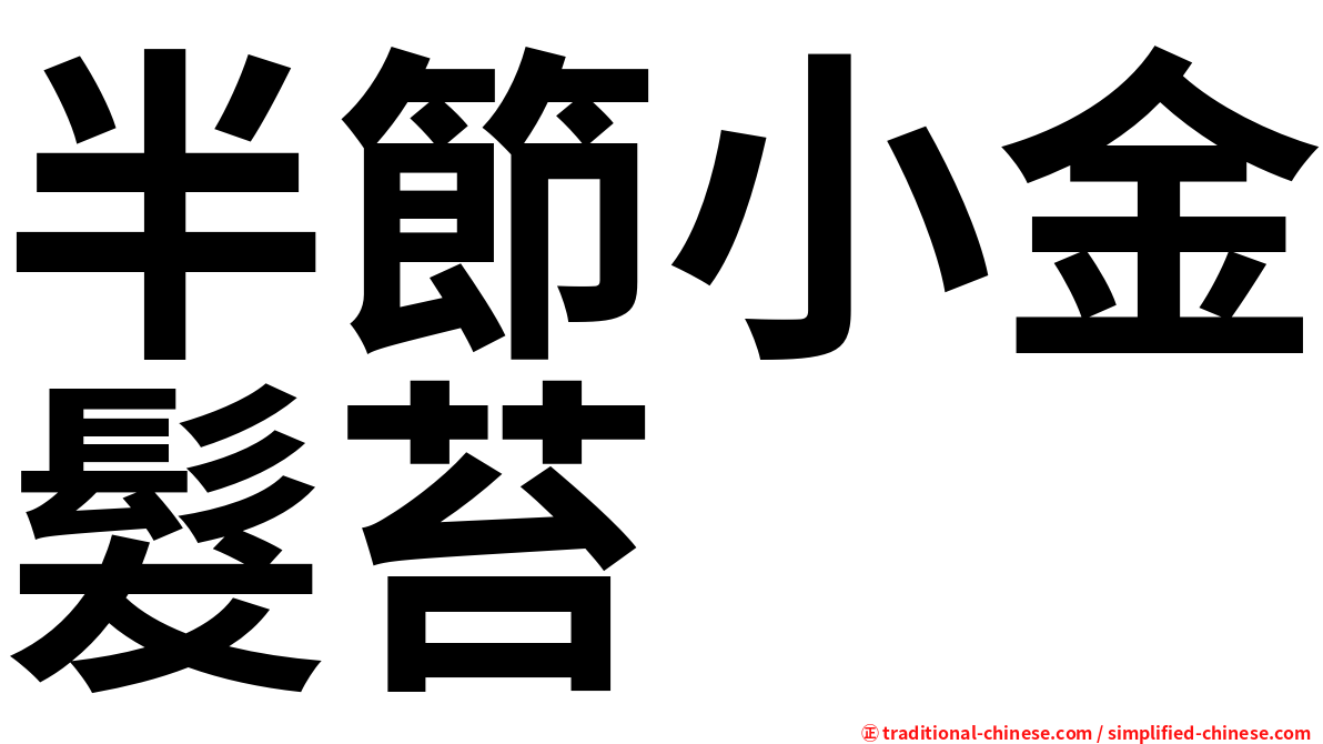 半節小金髮苔