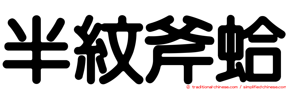 半紋斧蛤