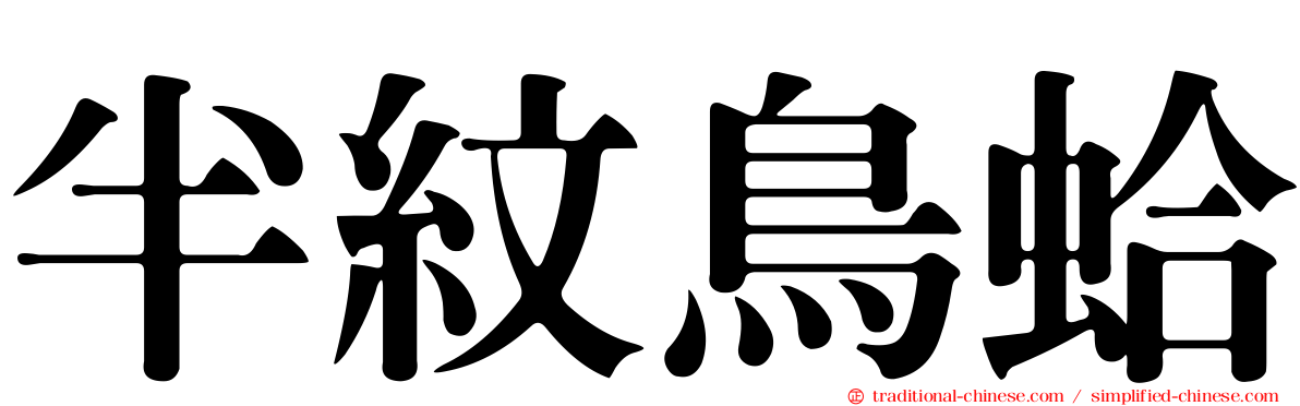 半紋鳥蛤