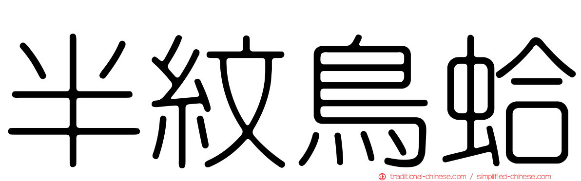 半紋鳥蛤