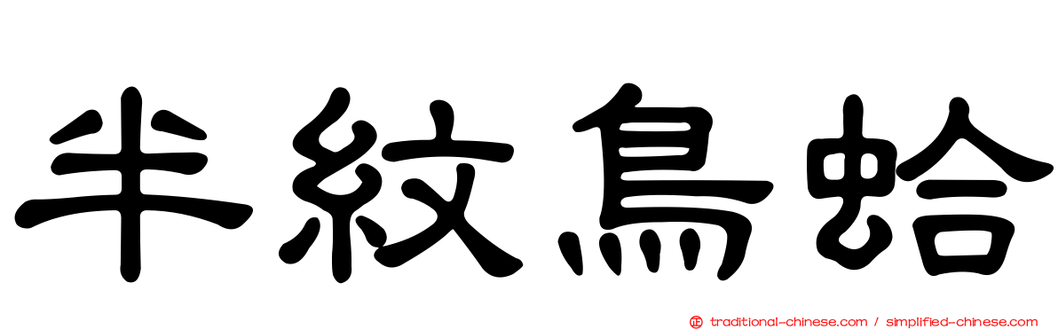 半紋鳥蛤