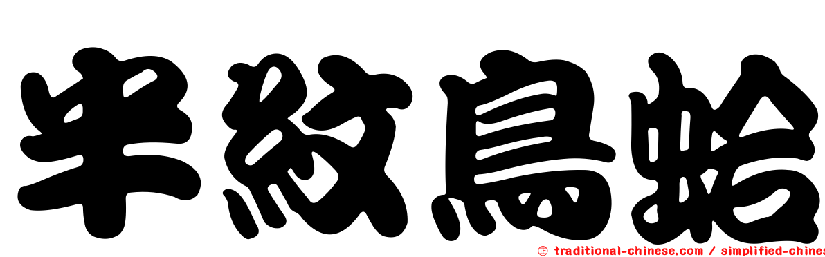 半紋鳥蛤