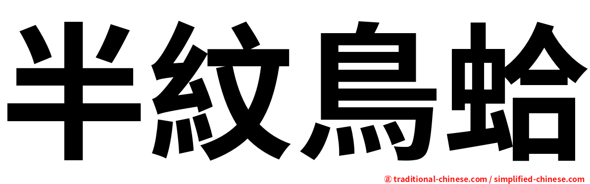 半紋鳥蛤