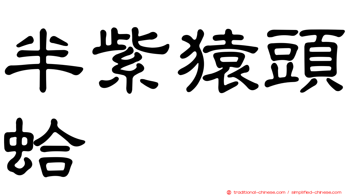 半紫猿頭蛤