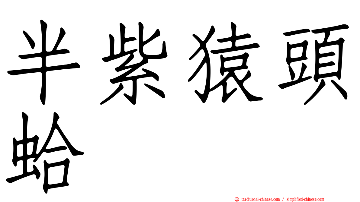 半紫猿頭蛤