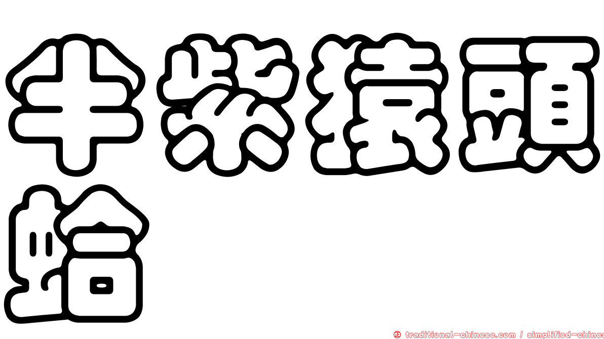 半紫猿頭蛤