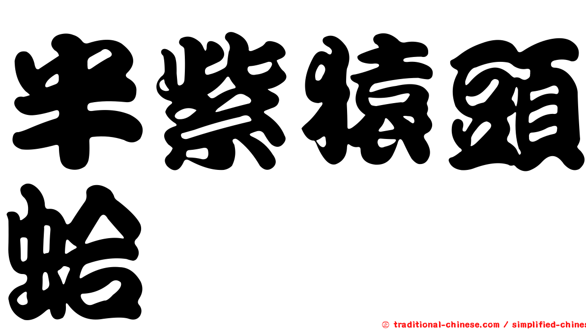 半紫猿頭蛤
